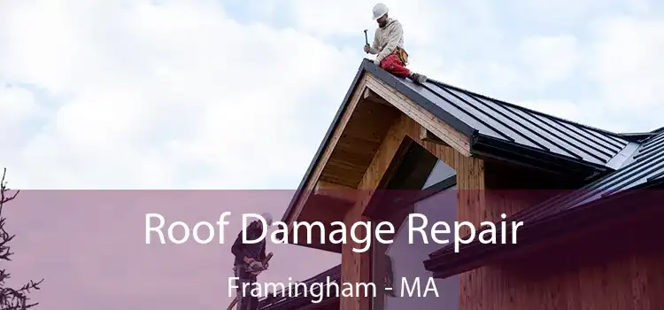 Roof Damage Repair Framingham - MA