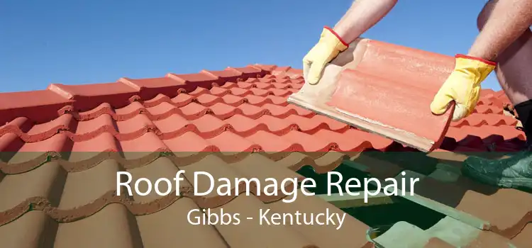 Roof Damage Repair Gibbs - Kentucky