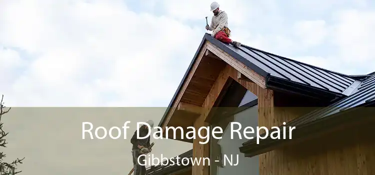 Roof Damage Repair Gibbstown - NJ