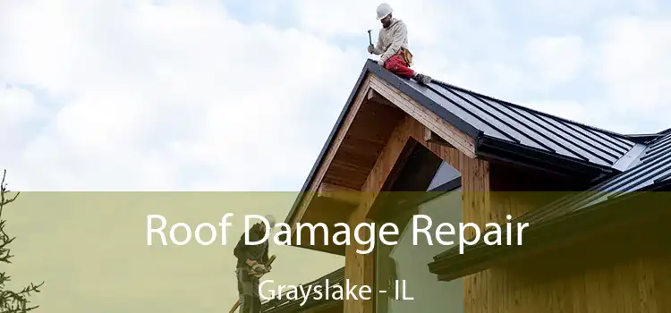 Roof Damage Repair Grayslake - IL