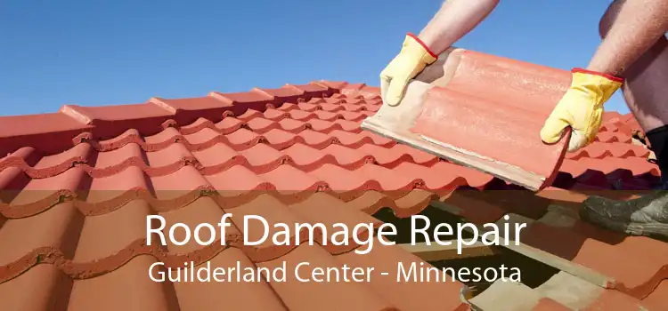 Roof Damage Repair Guilderland Center - Minnesota
