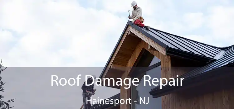 Roof Damage Repair Hainesport - NJ