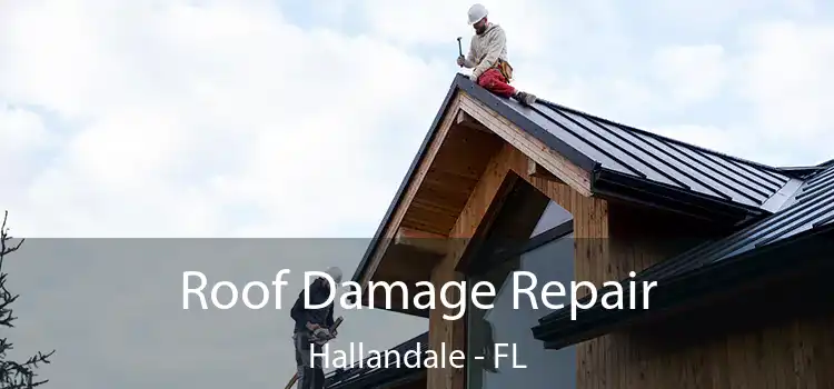 Roof Damage Repair Hallandale - FL