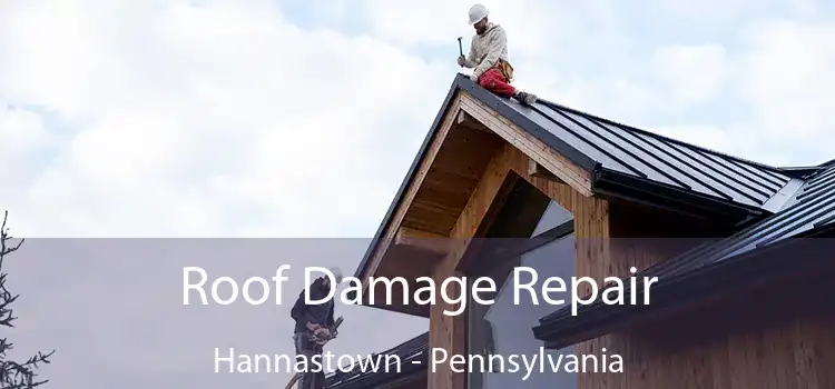 Roof Damage Repair Hannastown - Pennsylvania