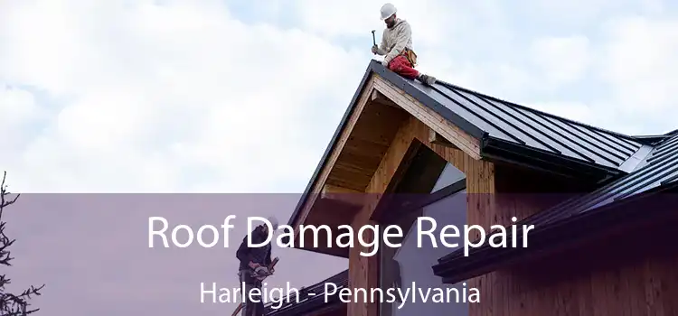 Roof Damage Repair Harleigh - Pennsylvania