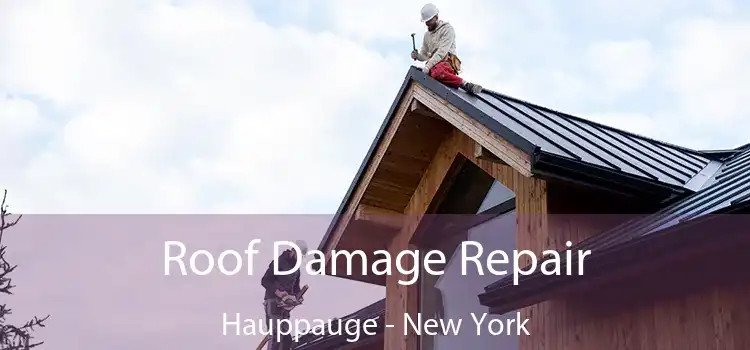 Roof Damage Repair Hauppauge - New York