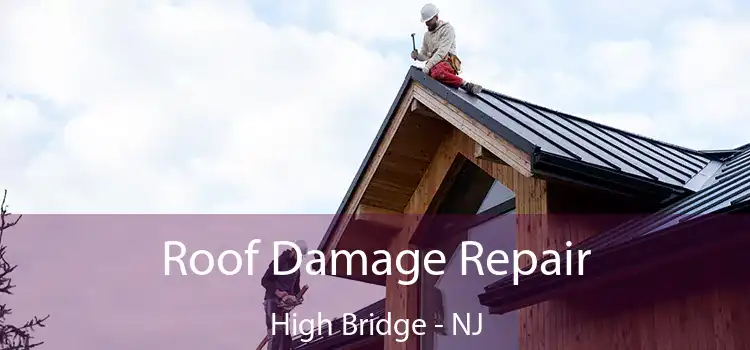 Roof Damage Repair High Bridge - NJ