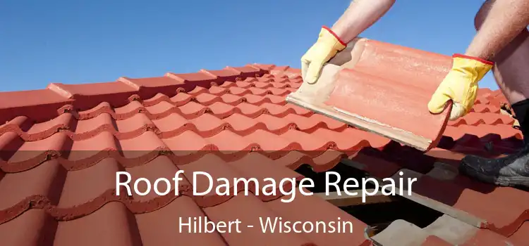 Roof Damage Repair Hilbert - Wisconsin