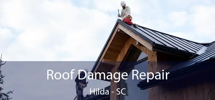 Roof Damage Repair Hilda - SC