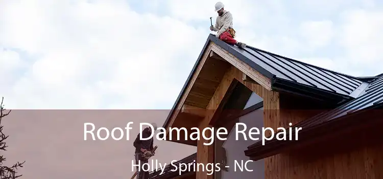 Roof Damage Repair Holly Springs - NC