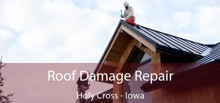 Roof Damage Repair Holy Cross - Iowa