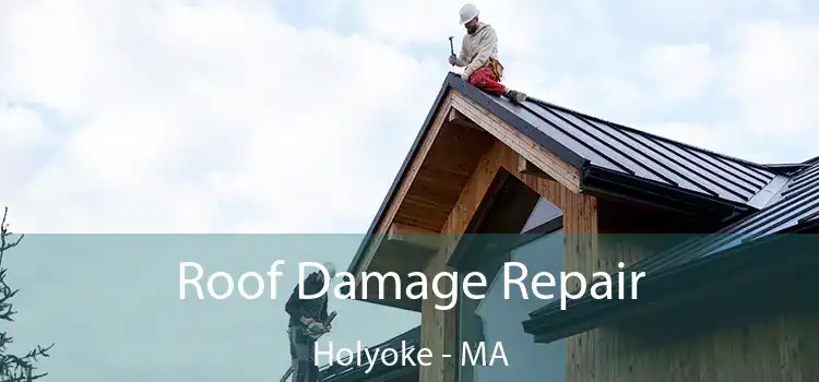 Roof Damage Repair Holyoke - MA