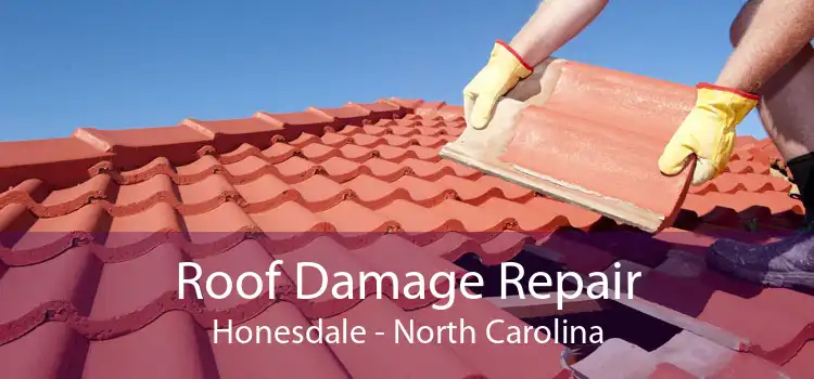 Roof Damage Repair Honesdale - North Carolina