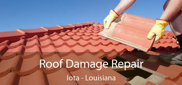 Roof Damage Repair Iota - Louisiana