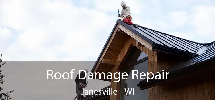 Roof Damage Repair Janesville - WI