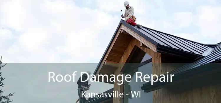 Roof Damage Repair Kansasville - WI