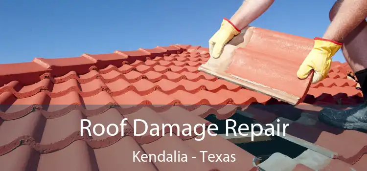 Roof Damage Repair Kendalia - Texas