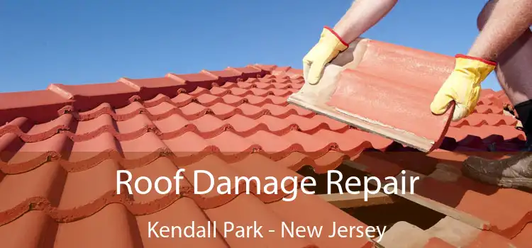 Roof Damage Repair Kendall Park - New Jersey