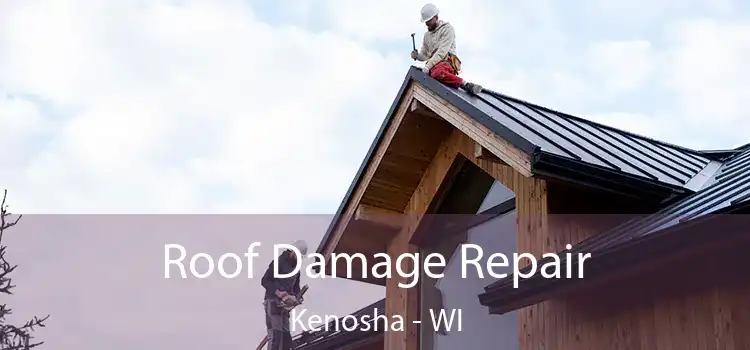 Roof Damage Repair Kenosha - WI