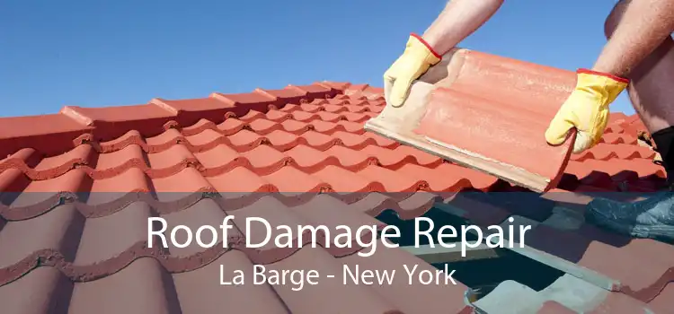 Roof Damage Repair La Barge - New York