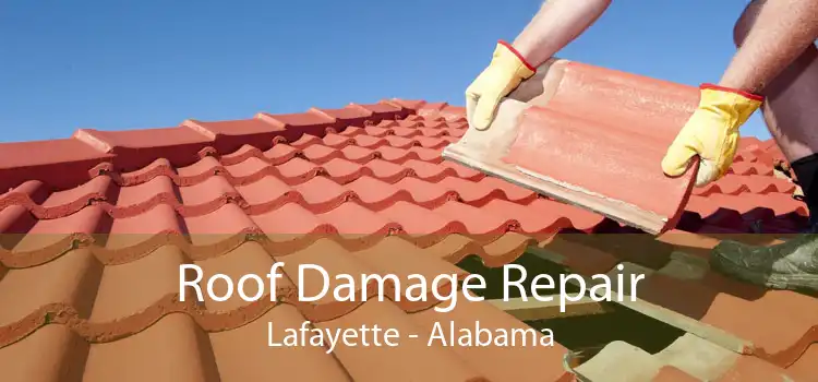 Roof Damage Repair Lafayette - Alabama