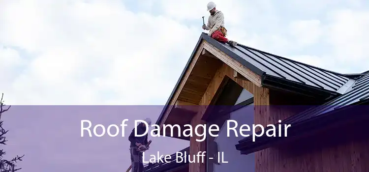 Roof Damage Repair Lake Bluff - IL