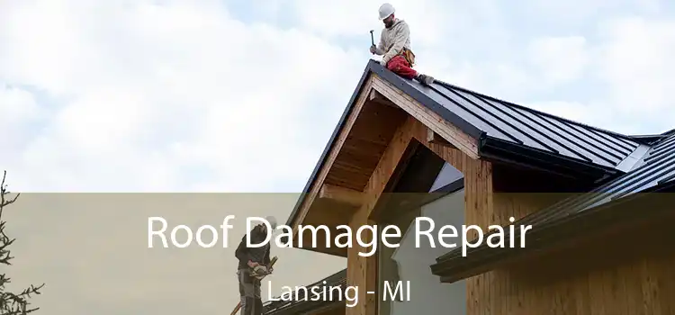 Roof Damage Repair Lansing - MI