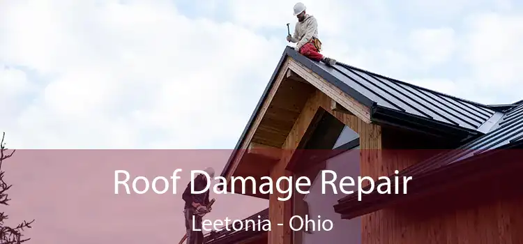 Roof Damage Repair Leetonia - Ohio