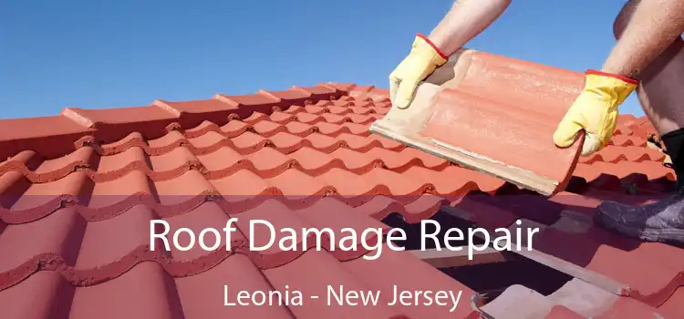 Roof Damage Repair Leonia - New Jersey