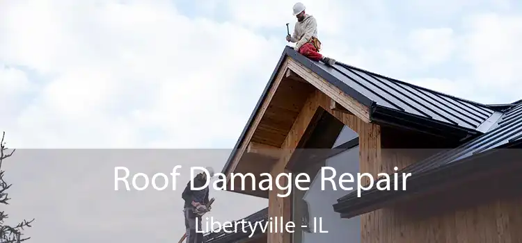 Roof Damage Repair Libertyville - IL