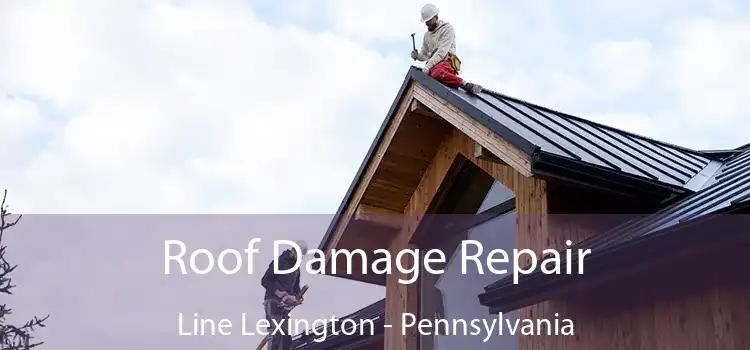 Roof Damage Repair Line Lexington - Pennsylvania