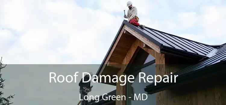 Roof Damage Repair Long Green - MD