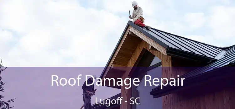 Roof Damage Repair Lugoff - SC