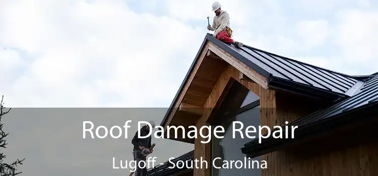 Roof Damage Repair Lugoff - South Carolina