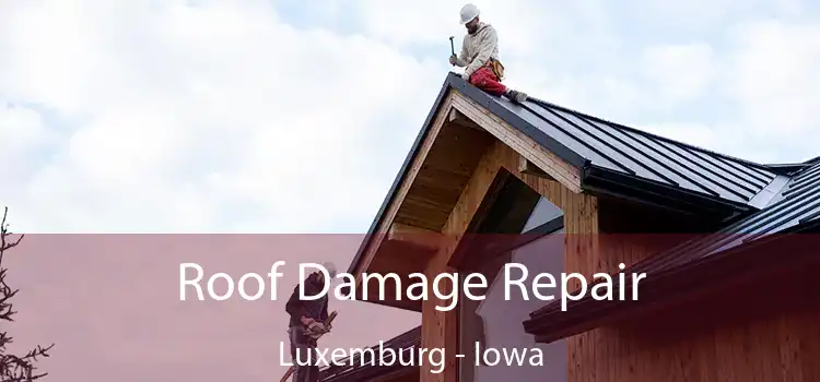 Roof Damage Repair Luxemburg - Iowa