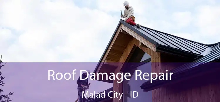 Roof Damage Repair Malad City - ID