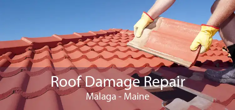 Roof Damage Repair Malaga - Maine