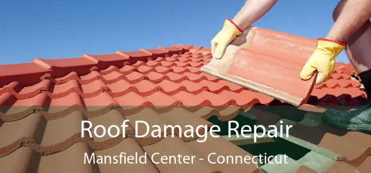 Roof Damage Repair Mansfield Center - Connecticut