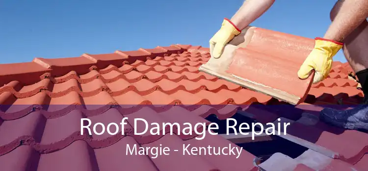 Roof Damage Repair Margie - Kentucky