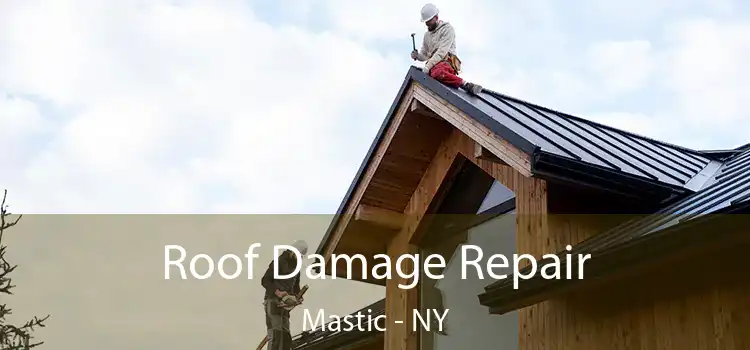 Roof Damage Repair Mastic - NY