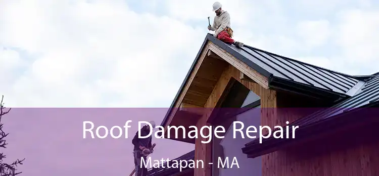 Roof Damage Repair Mattapan - MA