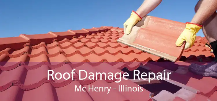 Roof Damage Repair Mc Henry - Illinois