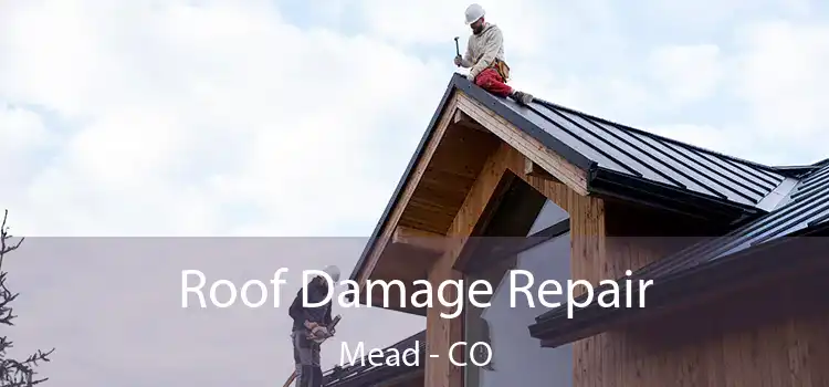 Roof Damage Repair Mead - CO