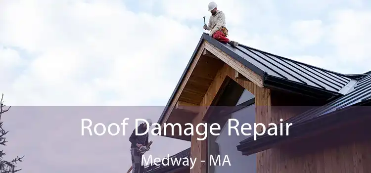 Roof Damage Repair Medway - MA