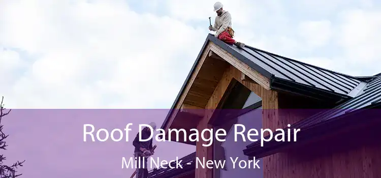 Roof Damage Repair Mill Neck - New York