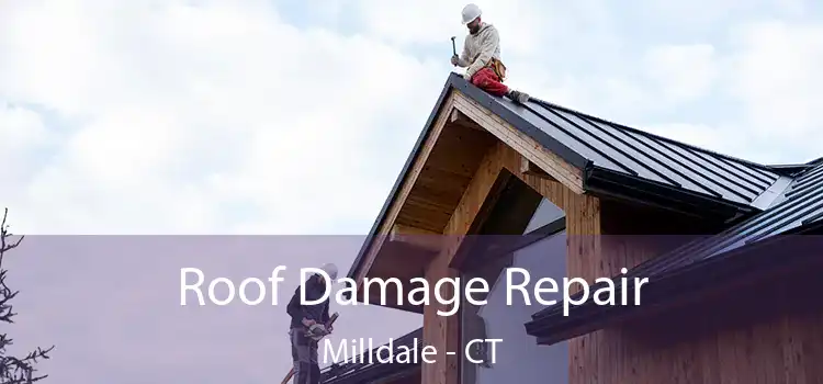 Roof Damage Repair Milldale - CT