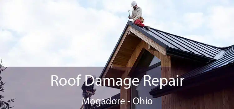 Roof Damage Repair Mogadore - Ohio