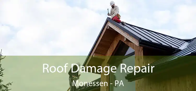 Roof Damage Repair Monessen - PA