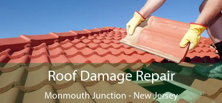 Roof Damage Repair Monmouth Junction - New Jersey