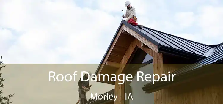 Roof Damage Repair Morley - IA